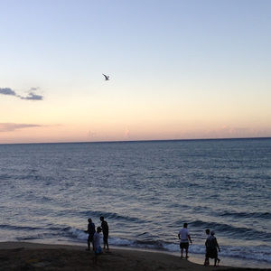 Meet your Posher, Dennise